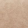 Velar Counter Stool (Set of 2) Beige