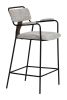 Couva Counter Stool (Set of 2) Gray Tweed