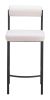 Livorno Counter Stool (Set of 2) Ivory