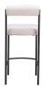 Livorno Counter Stool (Set of 2) Ivory