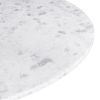 Phoenix Dining Table White