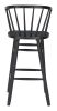 Stenger Barstool (Set of 2) Black