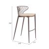 Silues Barstool (Set of 2) Taupe & Brown