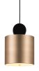 Myson Ceiling Lamp Gold & Black