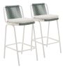 Luft Barstool (Set of 2) White & Green
