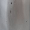 Sugra End Table Gray