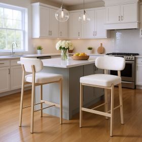 Aurea Barstool (Set of 2) Light Gray