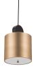 Myson Ceiling Lamp Gold & Black
