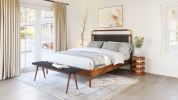 Netz Queen Bed Black & Walnut